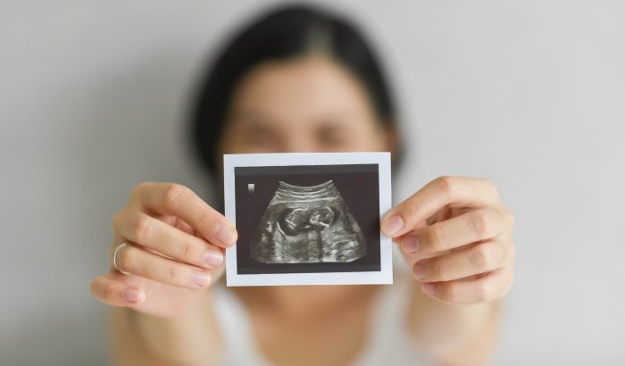Salud reproductiva y acceso a procedimientos de fertilidad: Senado insta al desarrollo de estrategias