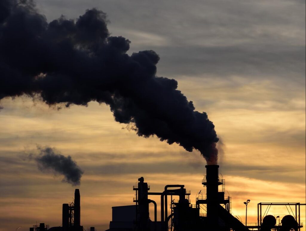 Índice de Precios de Productor (IPP) Industrias registró un aumento de 0,3% en agosto de 2025