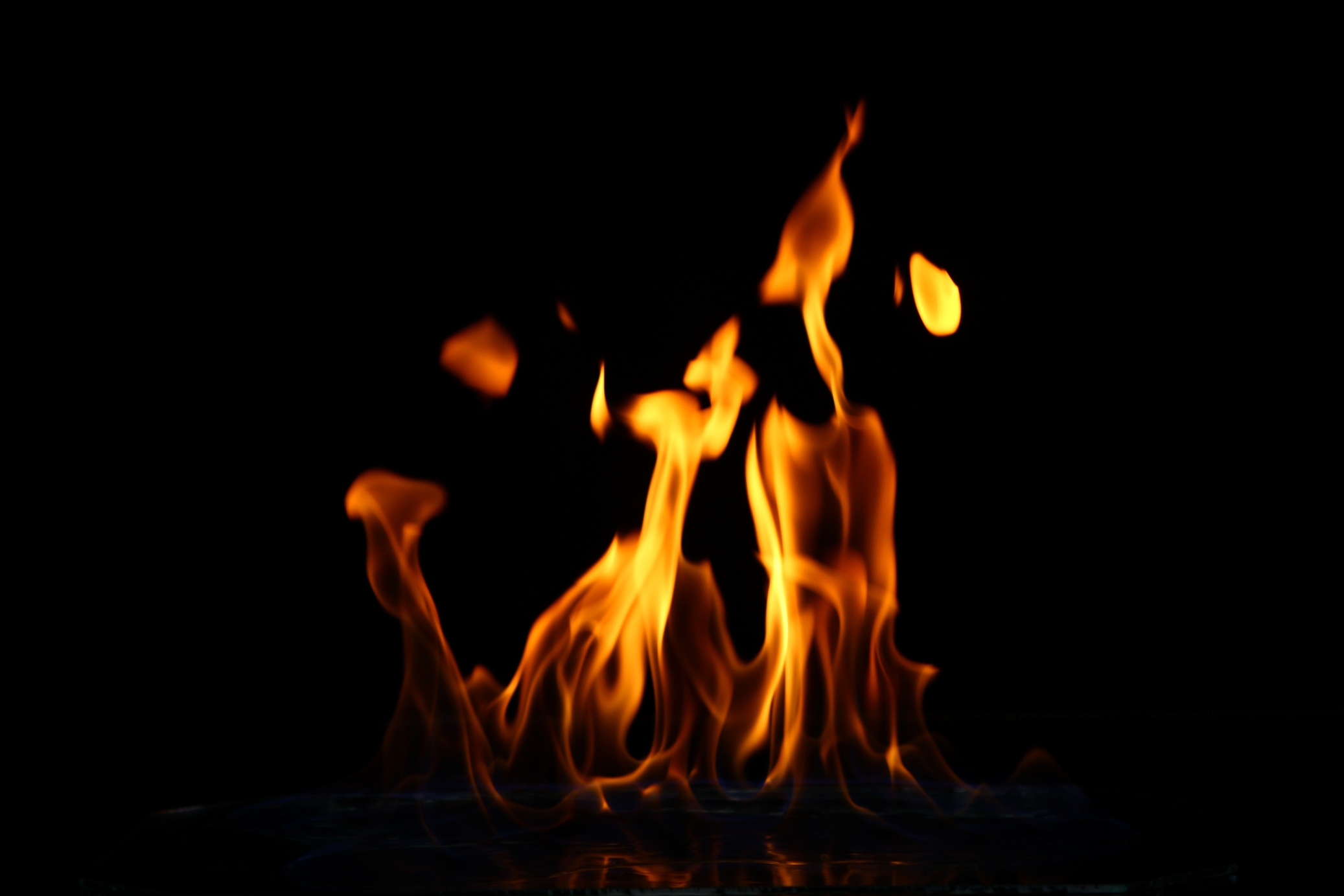 Investigadores chilenos publican artículo en prestigiosa revista científica...<span class="font-thin text-xs"> [Leer más]</span>