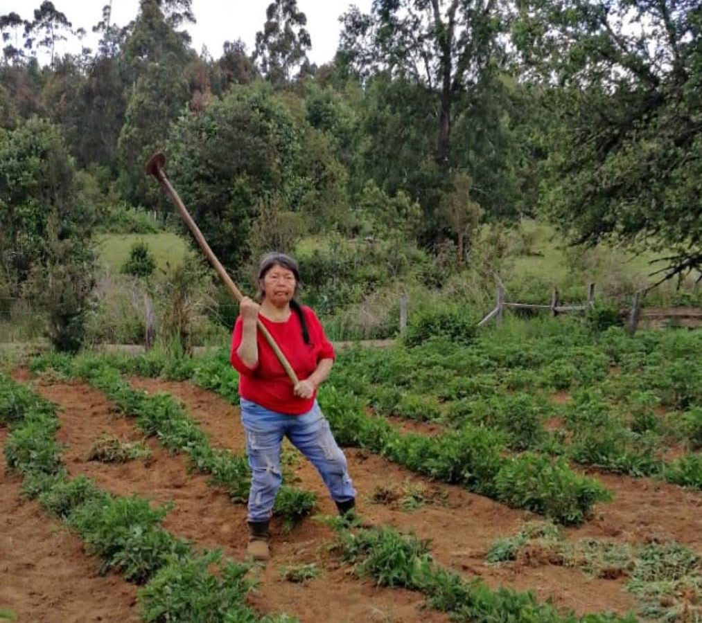 Justicia pendiente: La vida y desaparición de Julia Chuñil, activista mapuche y defensora del medioambiente