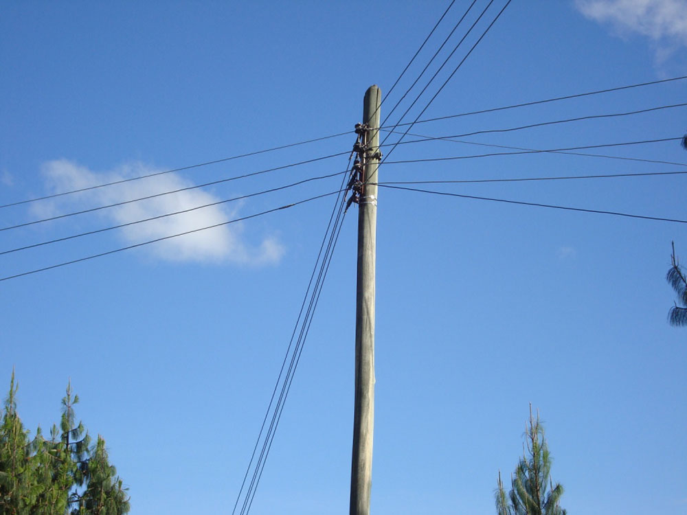 Aprobaron más de $997 millones para habilitar suministro eléctrico en sectores rurales de Lago Ranco