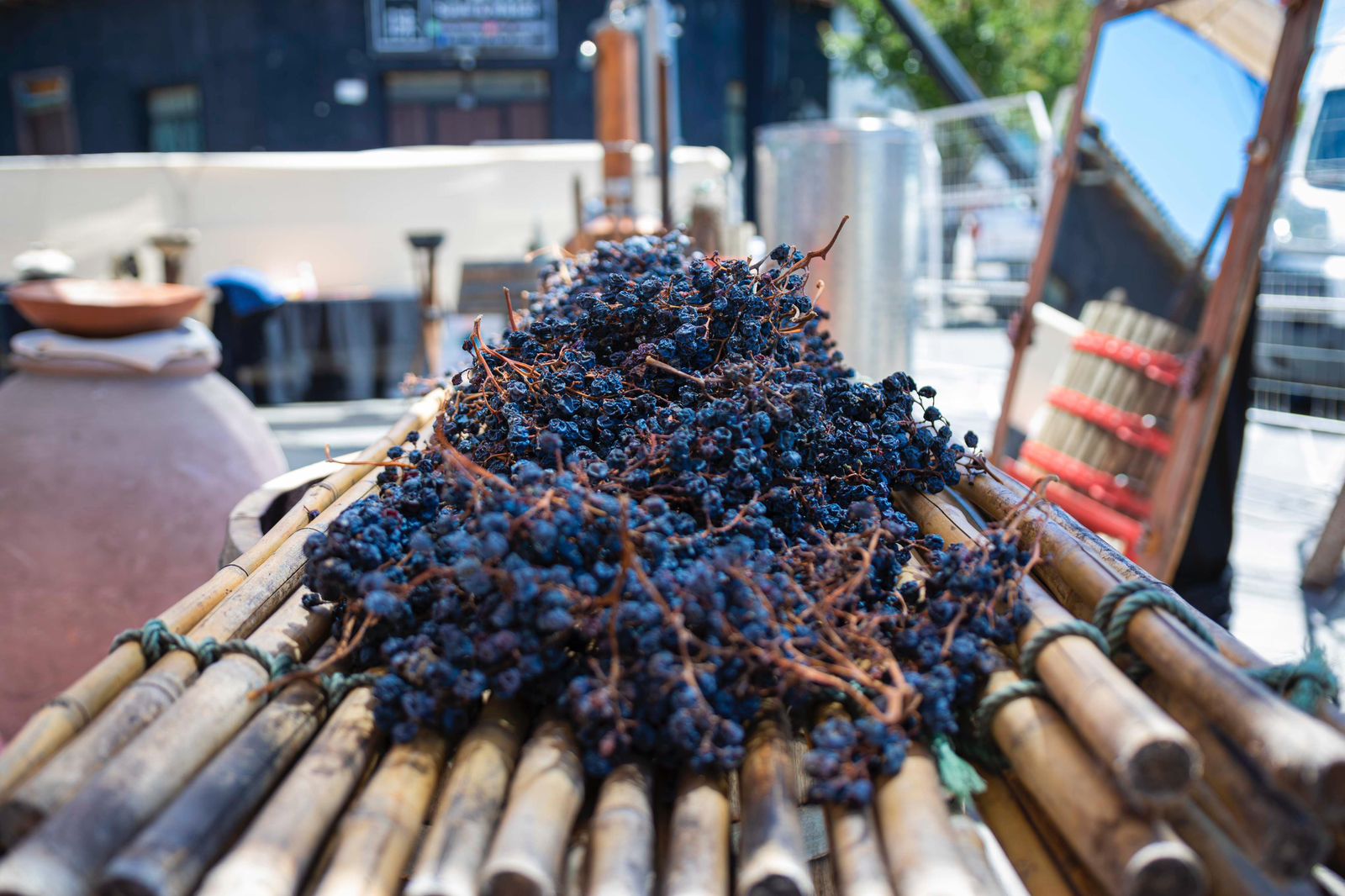 San Javier de Loncomilla es declarada Ciudad Creativa...<span class="font-thin text-xs"> [Leer más]</span>