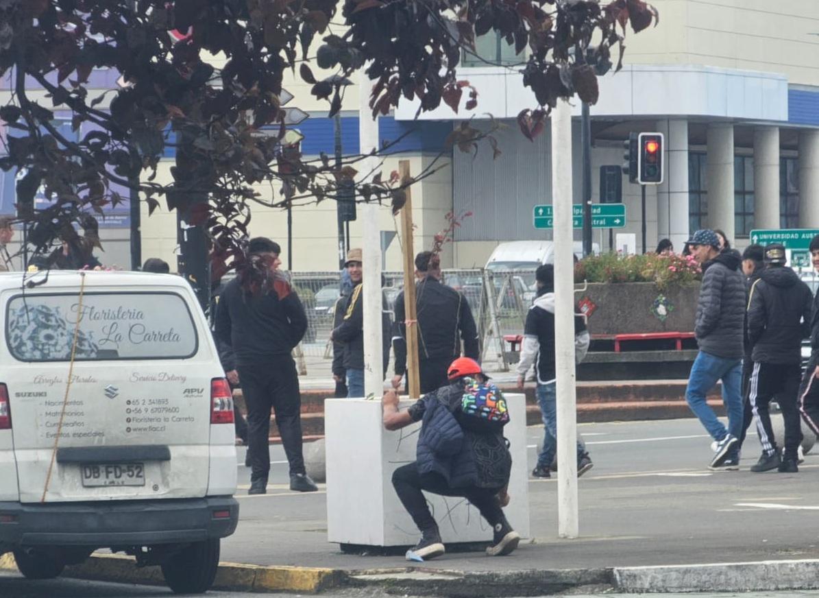 Oriundo de Quilpué deberá pagar más de $200 mil por rayar macetero en Puerto Montt