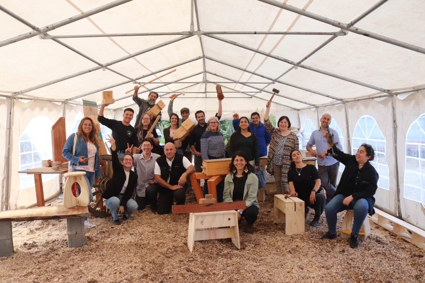 Programa gratuito seleccionará a 60 emprendedores de Los Ríos para impulsar la industria maderera