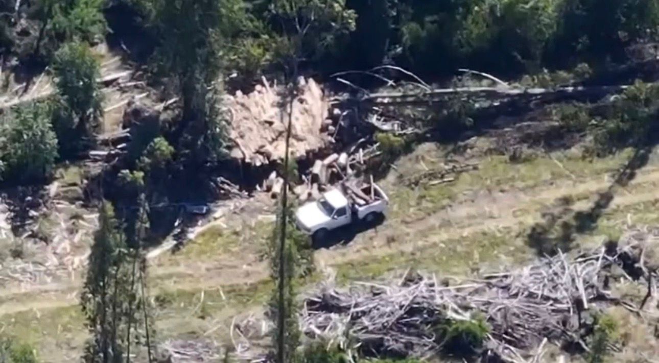 PDI detuvo a cinco personas por sustracción de...<span class="font-thin text-xs"> [Leer más]</span>