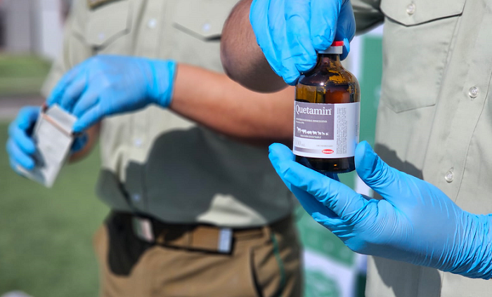 Fiscalía de Calama formalizó a detenidos por tráfico...<span class="font-thin text-xs"> [Leer más]</span>