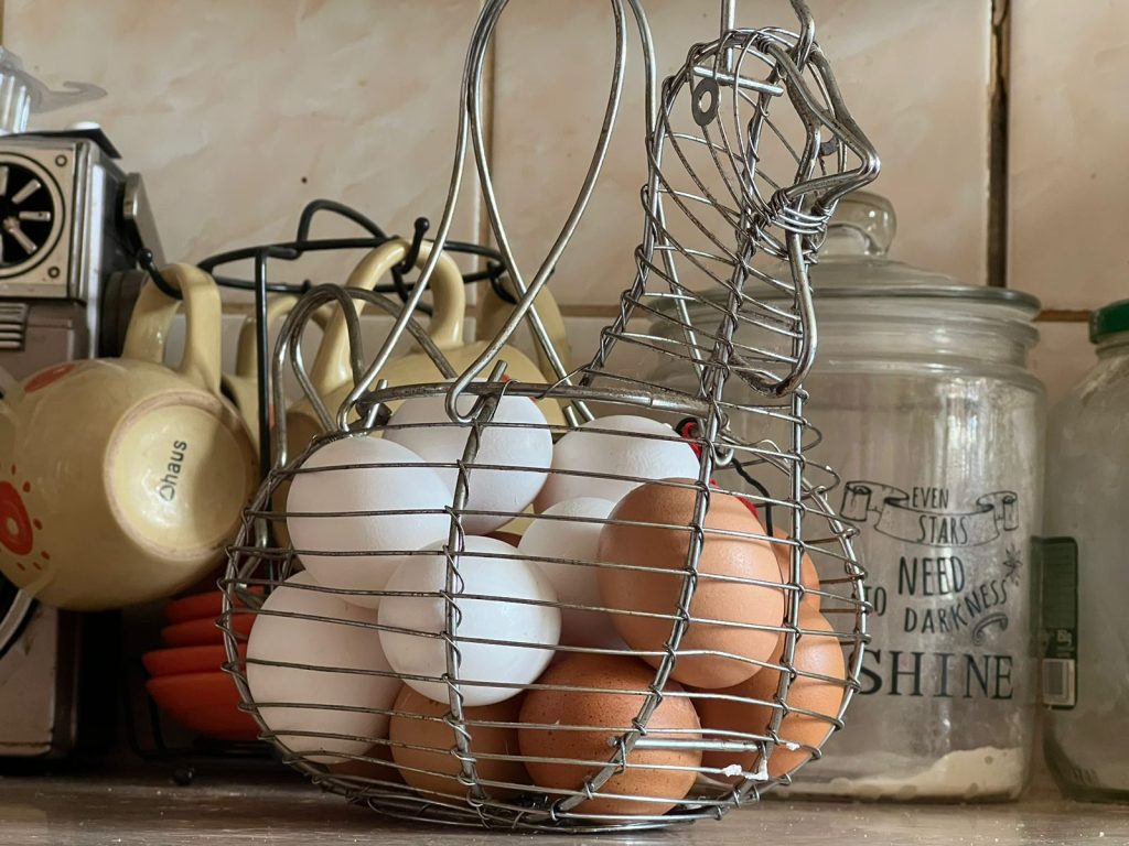 La producción de huevos de consumo presentó un...<span class="font-thin text-xs"> [Leer más]</span>