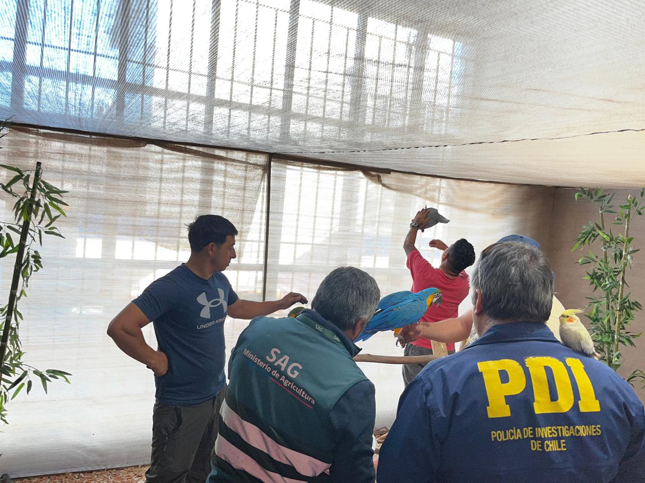 PDI realizó fiscalización conjunta en exposición de mascotas en Valdivia