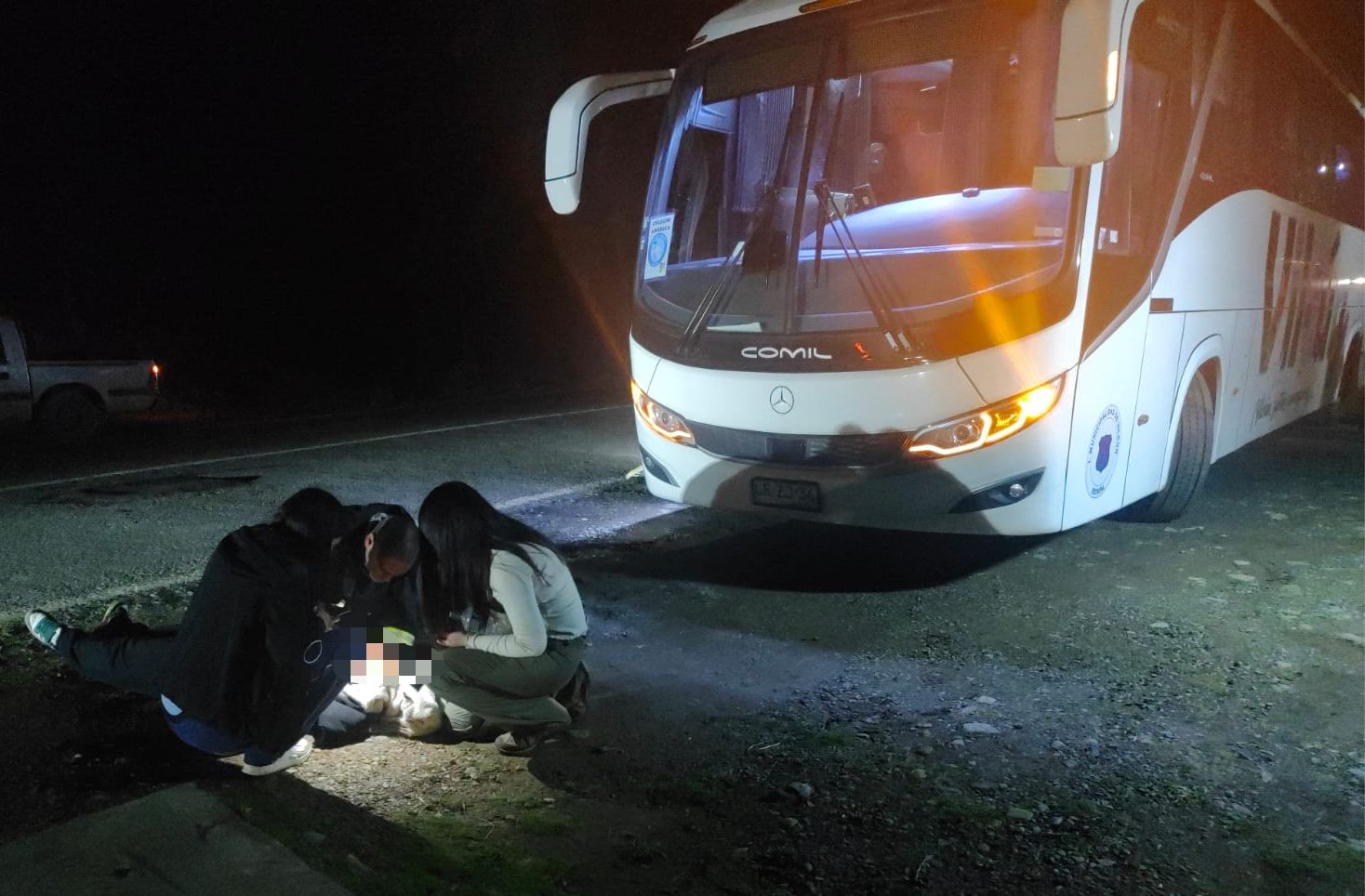 Emergencia médica afecta a estudiantes en gira de estudios entre Mehuín y Queule