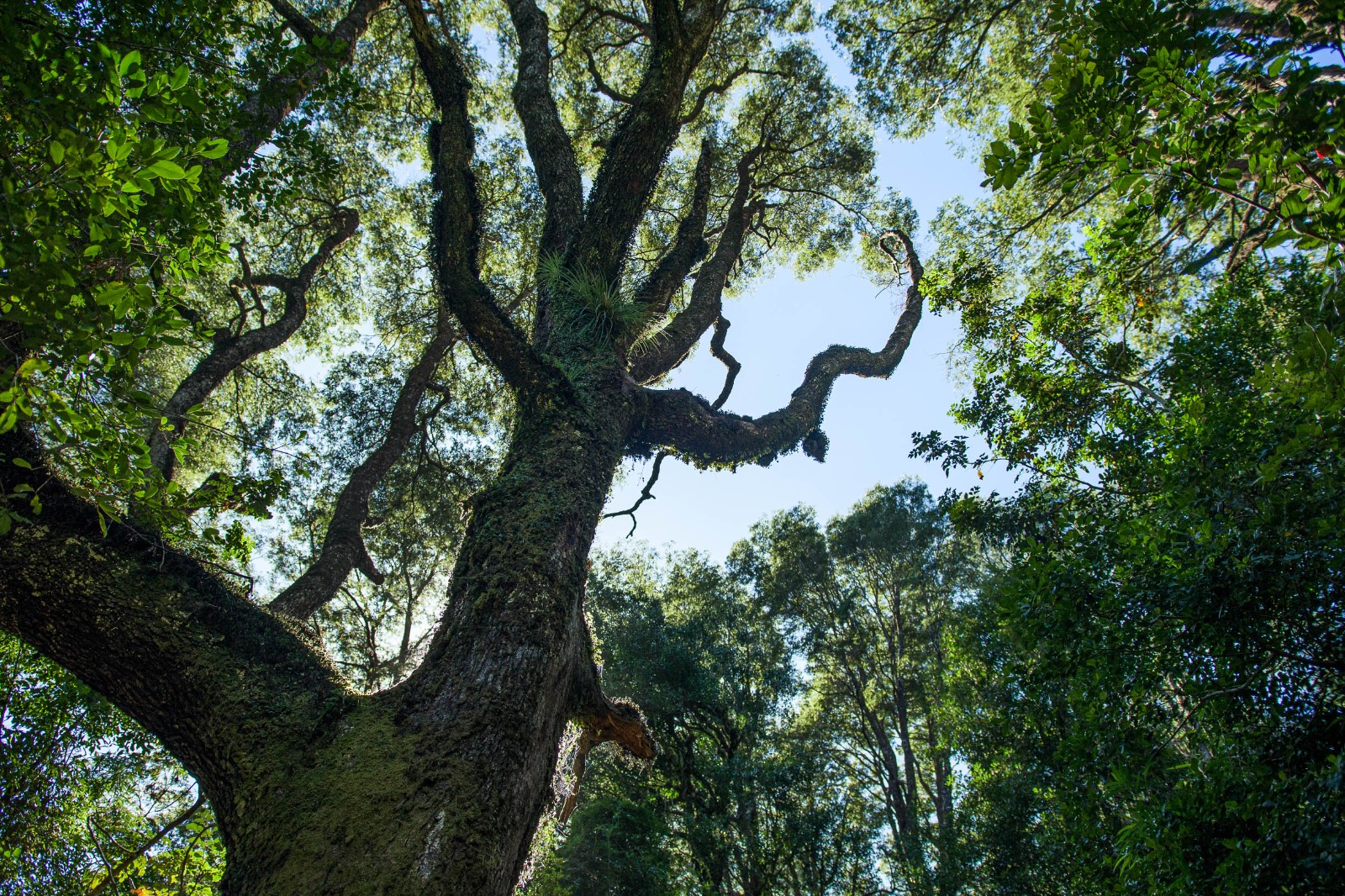 Iniciaron talleres para elaborar plan de uso del Santuario de la Naturaleza Llancahue en Valdivia