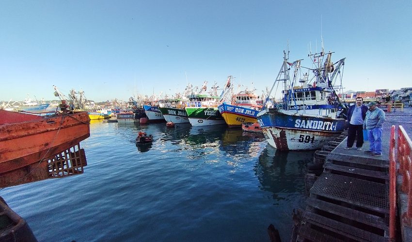 En marzo de 2026, el desembarque pesquero totalizó 189.002 toneladas en la Región del Biobío