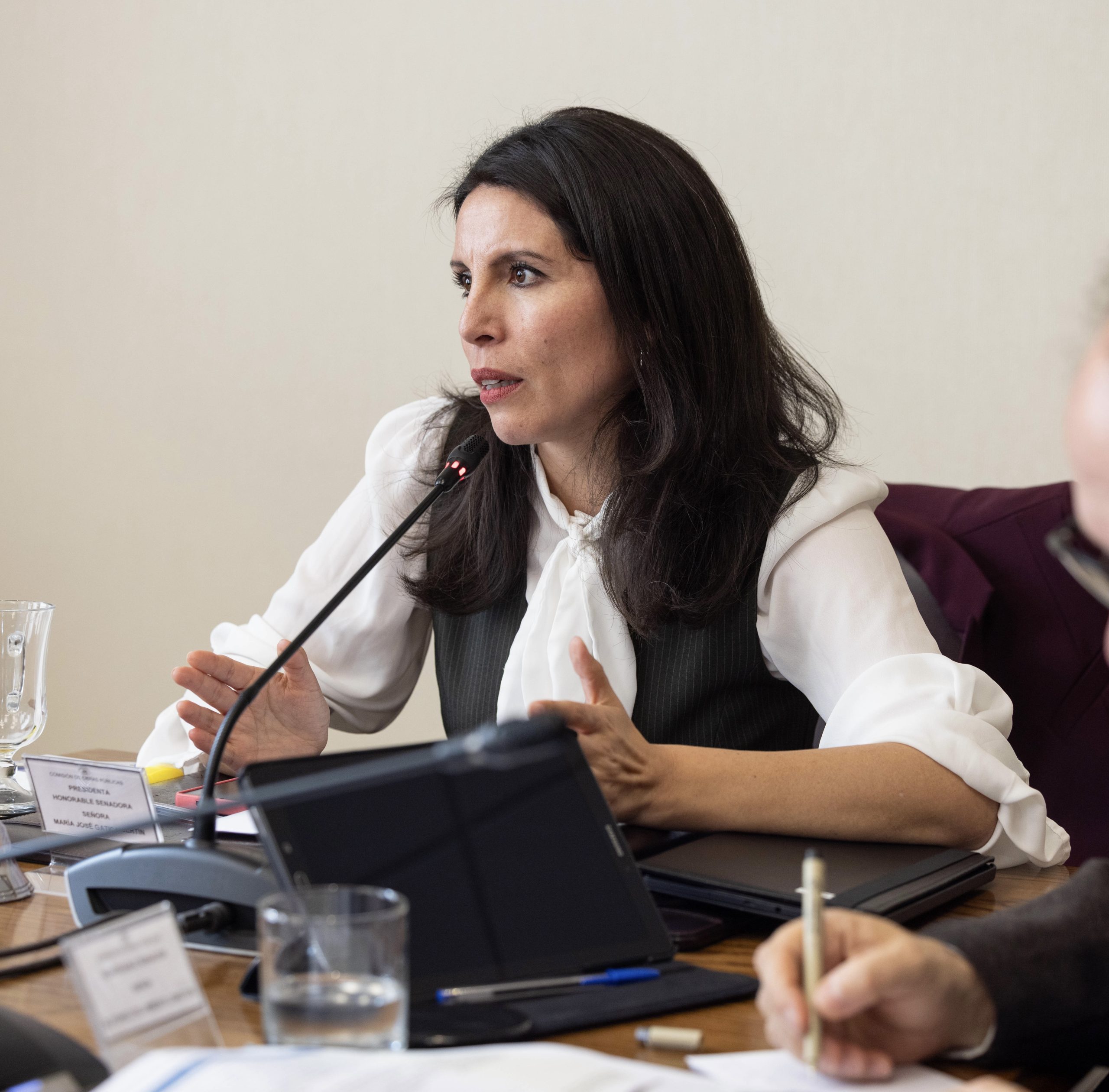 Senadora Gatica reitera oficio al Ministerio de Energía para frenar alza de tarifas eléctricas en Valdivia