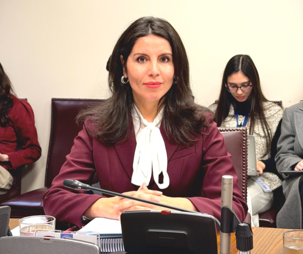Senadora Gatica destaca adjudicación de recursos para multicancha y Plaza Intercultural en Futrono