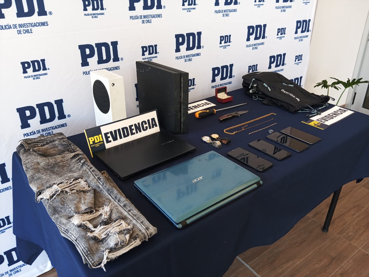 Operación "Código Aria" desarticula banda criminal vinculada a 26 delitos en Valdivia