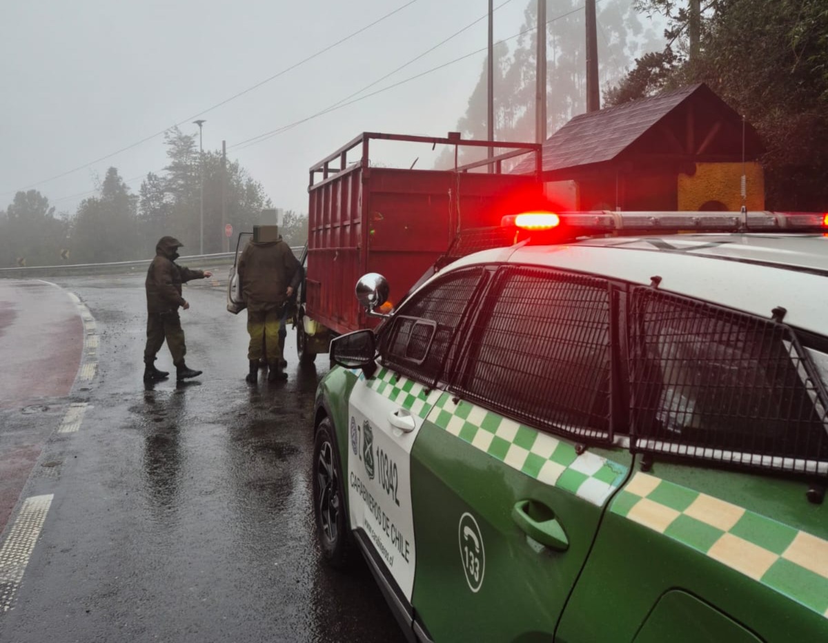 Carabineros detuvo a dos personas por presunto abigeato y recupera cuatro bovinos en Valdivia