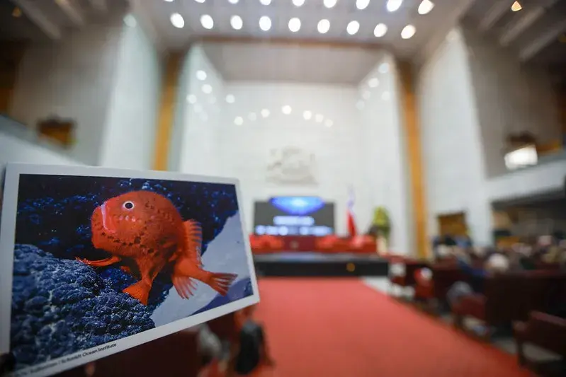 “Horizonte azul, más allá de lo visible”: Se conmemoró el Día Mundial de los Océanos