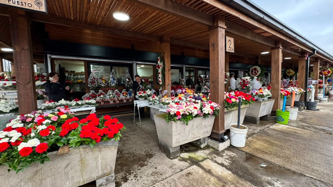 Pérgola de las Flores de Valdivia estrena modernas...<span class="font-thin text-xs"> [Leer más]</span>