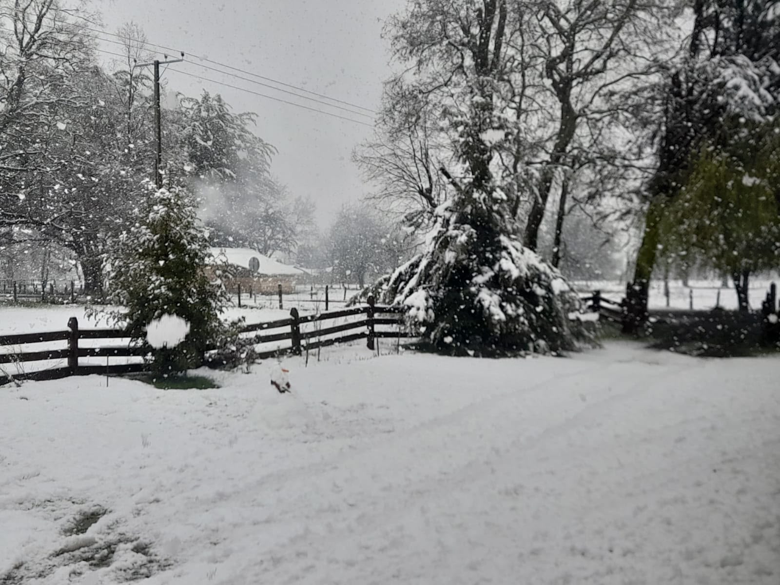SENAPRED declara Alerta Temprana Preventiva por nevadas para...<span class="font-thin text-xs"> [Leer más]</span>