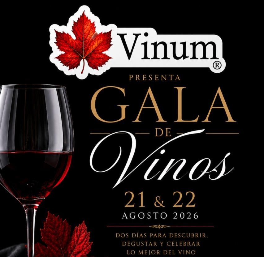 Valdivia abrirá las puertas al mundo del vino con la primera Gala Vinum: Reunirá a cerca de 40 expositores de todo Chile
