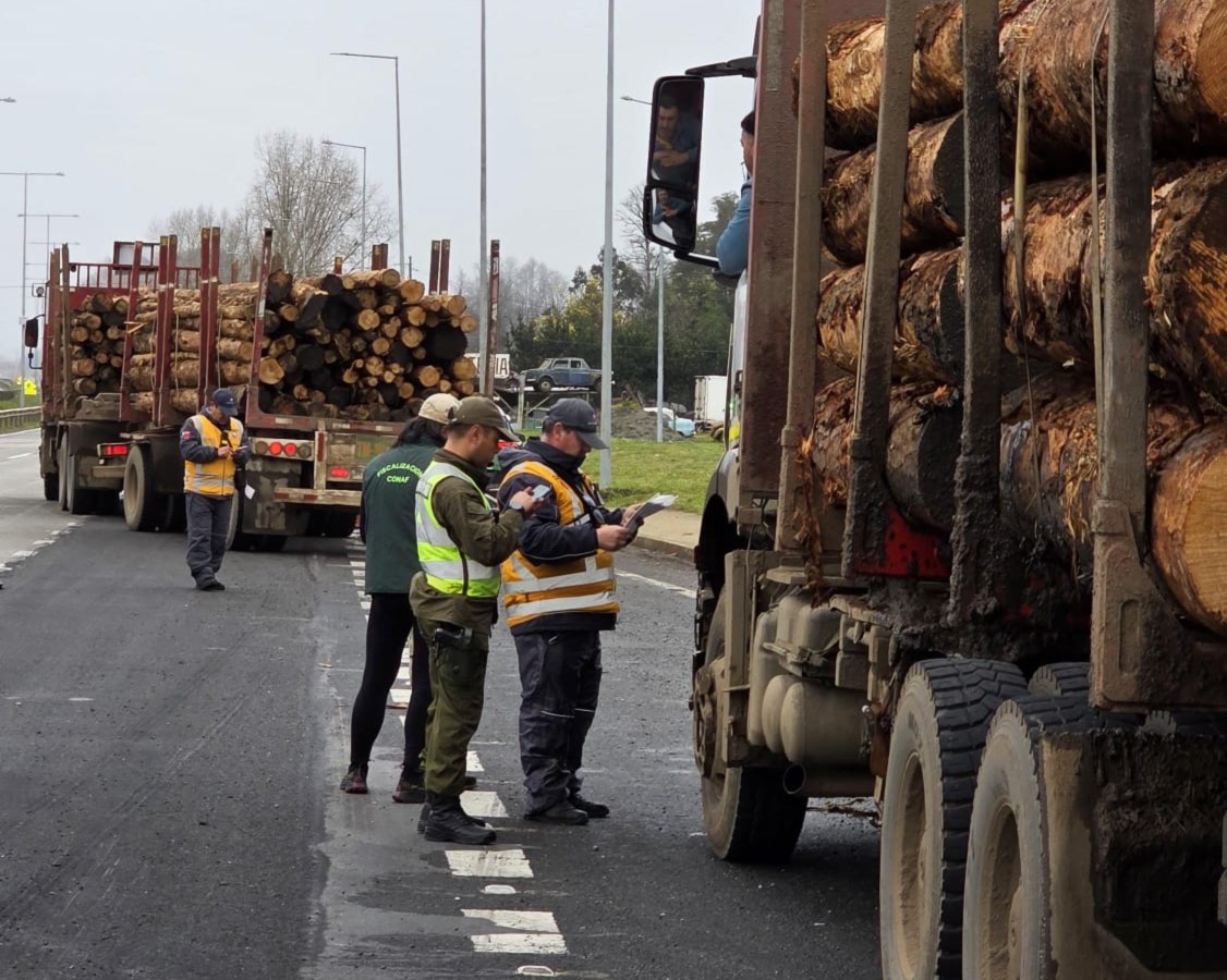 Fiscalización conjunta en Máfil refuerza control al transporte...<span class="font-thin text-xs"> [Leer más]</span>