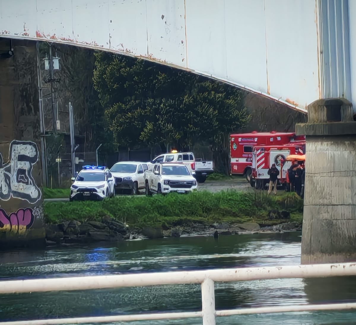 Activaron procedimiento de búsqueda tras presunta caída de persona al río en Valdivia