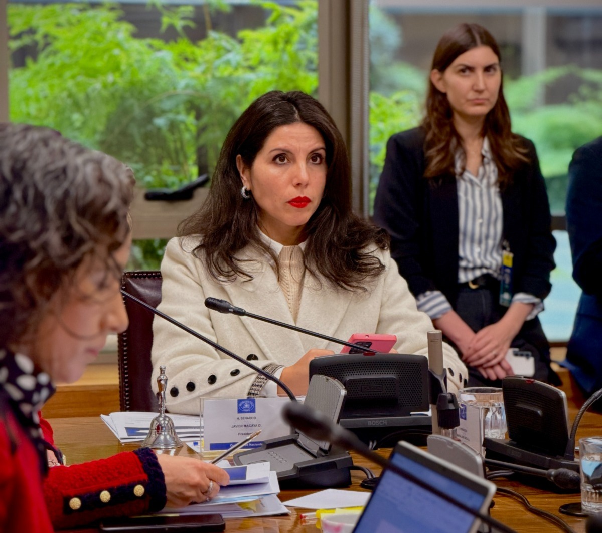 Senadora Gatica toma contacto con ministro Poduje por solución para familias damnificadas tras incendio en Los Lagos