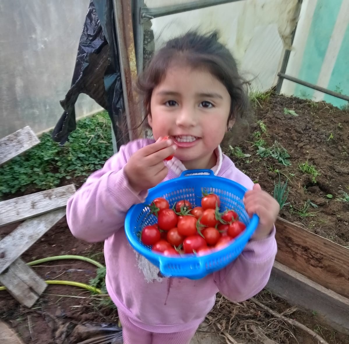 Niña de Valdivia ganó concurso y gracias a su 90% de asistencia viajará a la NASA