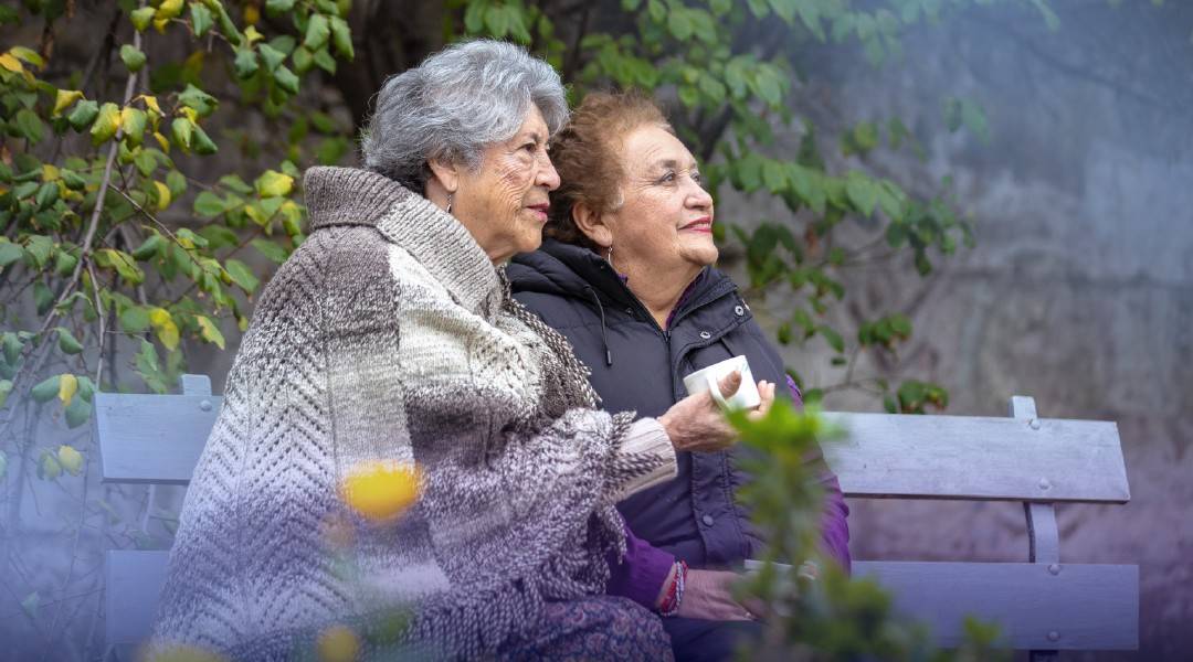 Más de 500 mil personas de 75 a 81 años estan recibiendo automáticamente el alza de la PGU