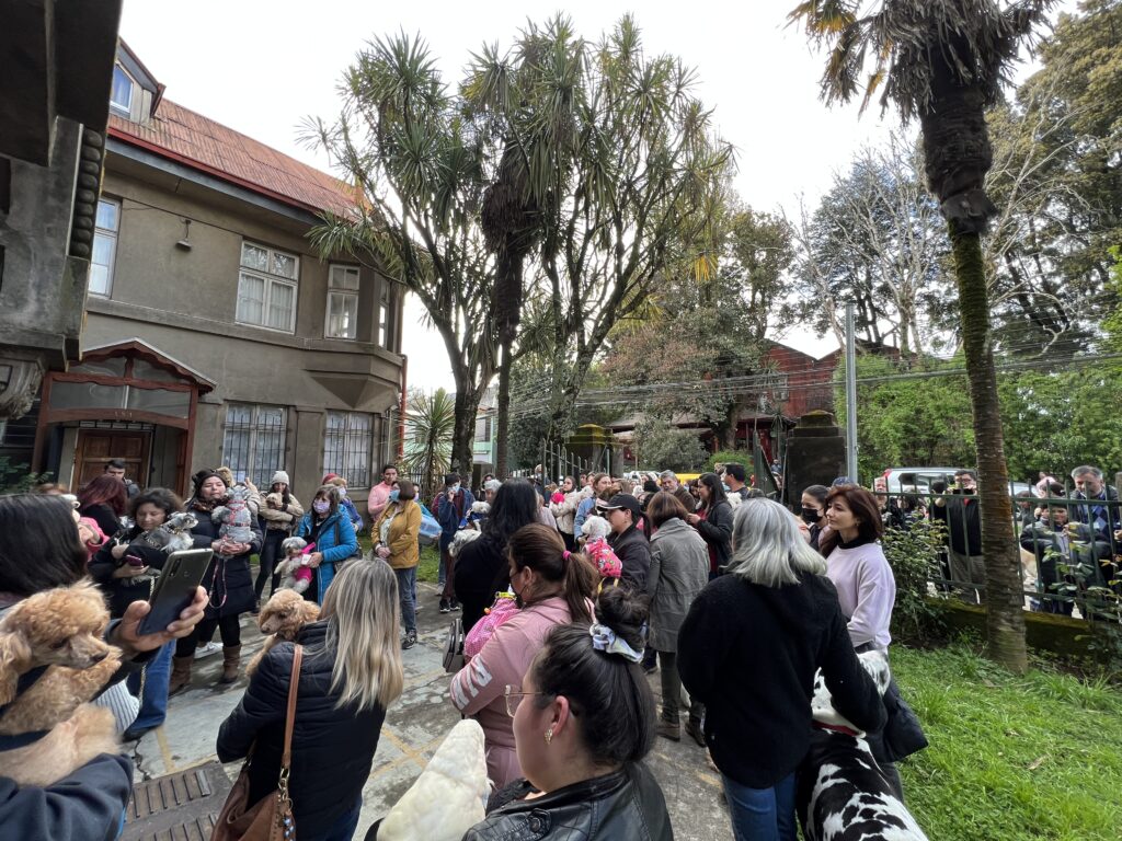 Iglesia San Francisco de Valdivia realizará hoy bendición de mascotas en el marco de su Fiesta Patronal