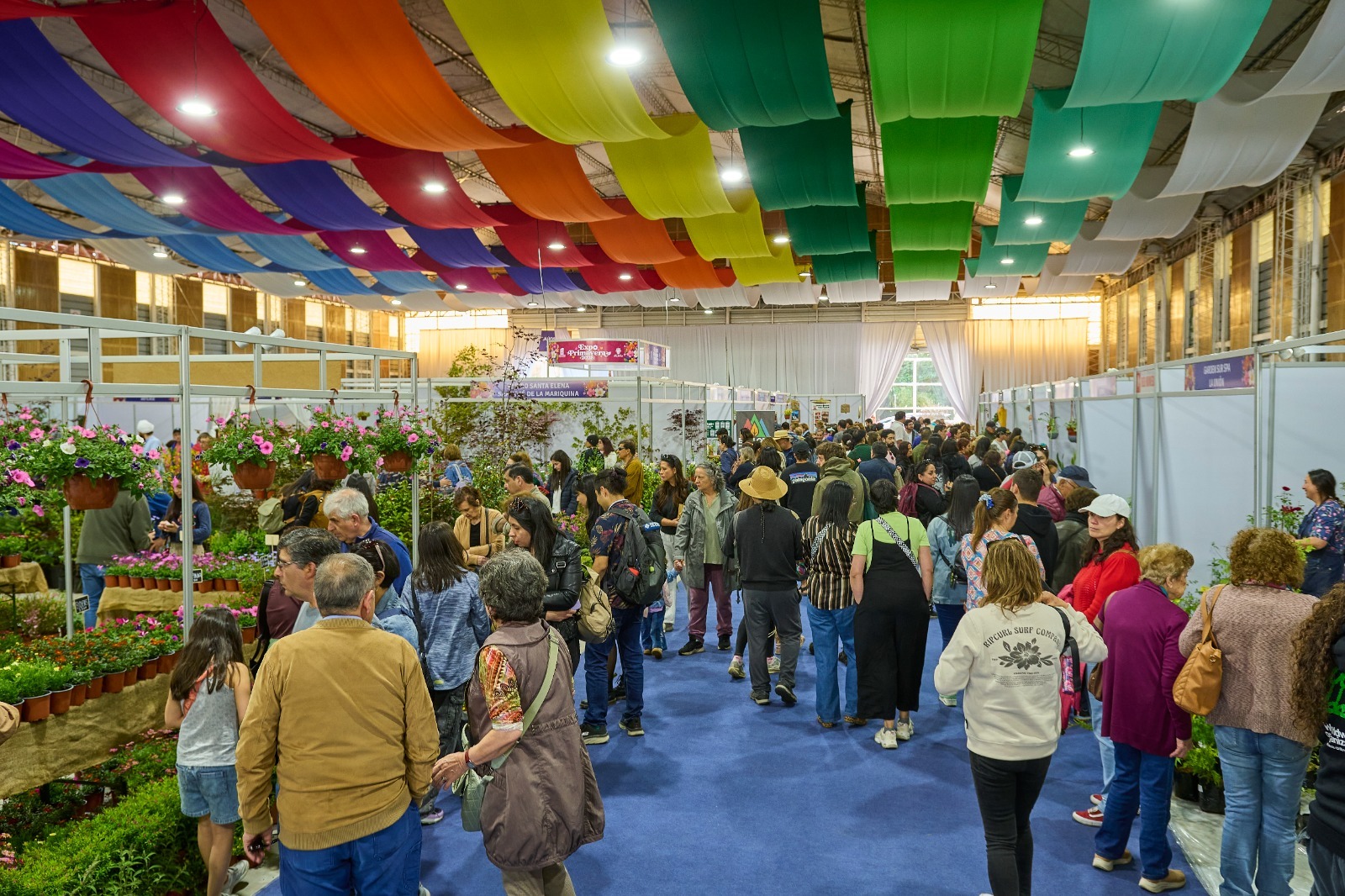 Expo Primavera Valdivia 2026 reunirá a 68 expositores de distintas localidades de Chile