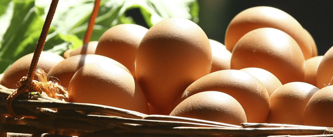 La producción de huevos de consumo presentó un...<span class="font-thin text-xs"> [Leer más]</span>
