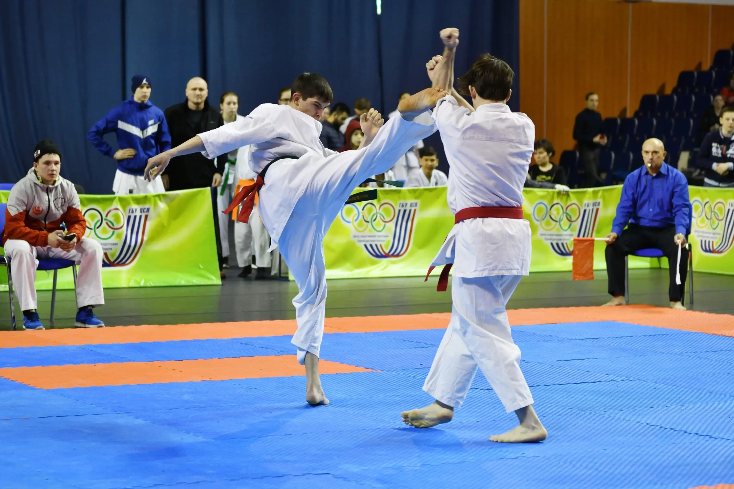 Artes marciales serán consideradas deporte: Sala votará proyecto